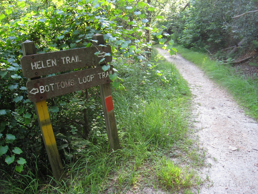 Helen to Unicoi 2010 0370.jpg - The yellow and orange trail head.